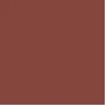 Empowered - Extreme Matte Liquid Lipstick