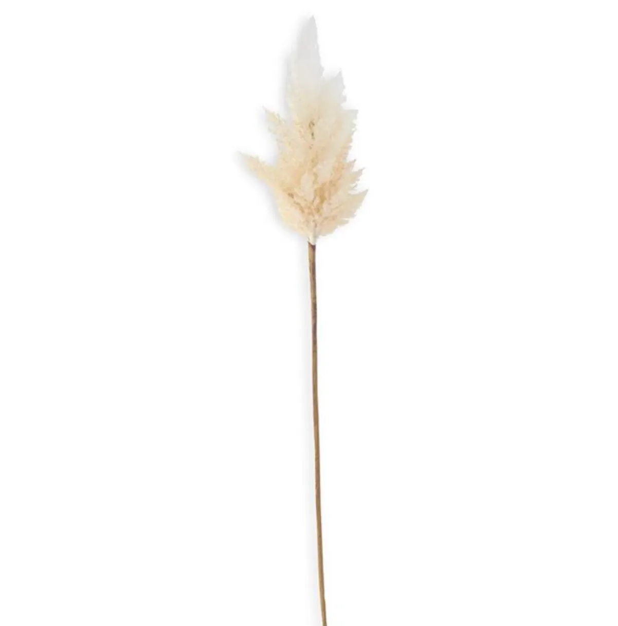 Flocked Faux Pampas Grass Branch