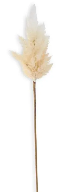 Flocked Faux Pampas Grass Branch