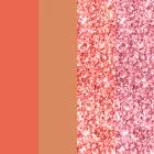 Matt look Spice And Sugar Ultra Professional Eyeshadow Palette